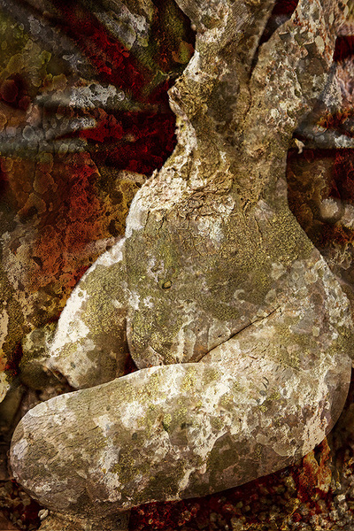 Torso--Pigment print on canvas embellished with acrylic paint, sand, and gold, copper & silver leaf