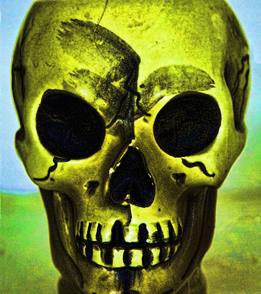 -Pop Skull #3 
