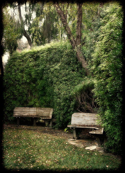 Two Empty Benches