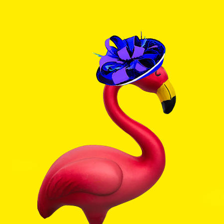 Fashionista Flamingo #2