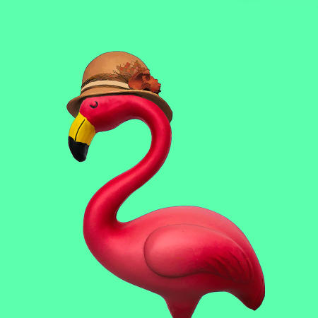 Fashionista Flamingo #3