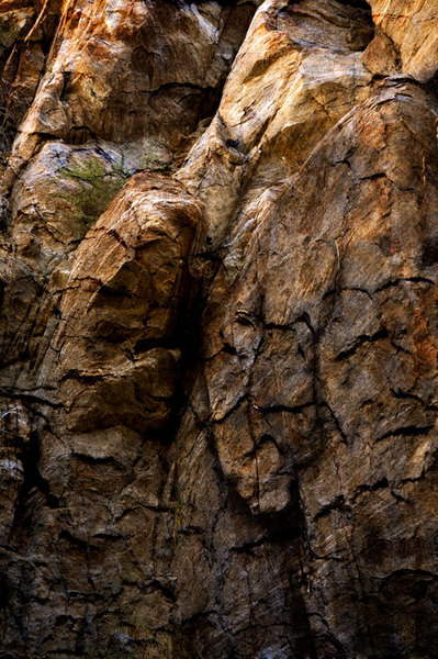 Sleeping Giants--Pigment print on canvas embellished with acrylic paint, sand, and gold & copper leaf