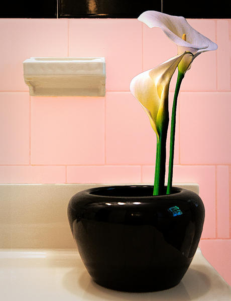 Callas in a vase