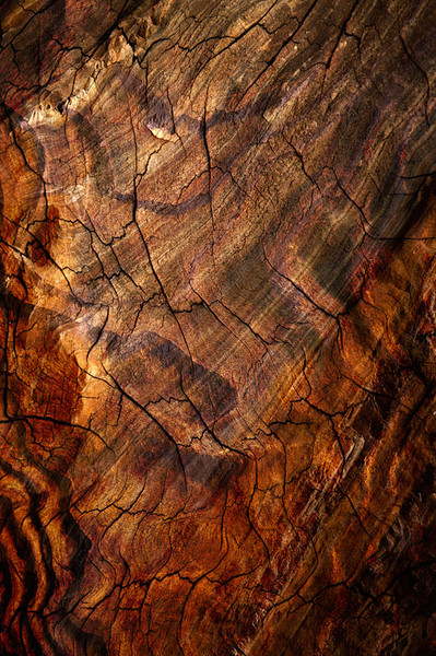 Cracked Earth--Pigment print on canvas embellished with acrylic paint, sand, and gold & copper leaf