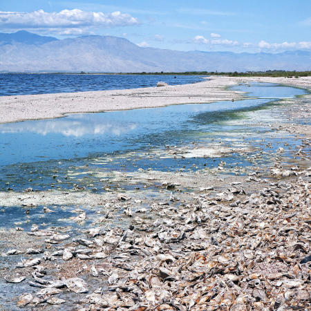 Beauty and Decay: Along the Shoreline