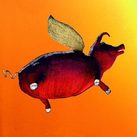 Flying Pig #6 