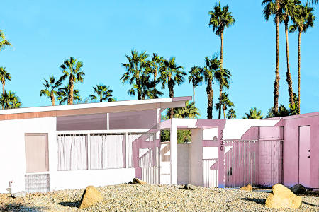 Palm Springs Mod #3