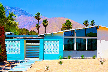 Palm Springs Mod #9