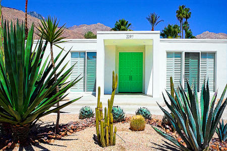 Palm Springs Mod #10