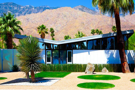 Palm Springs Mod #11