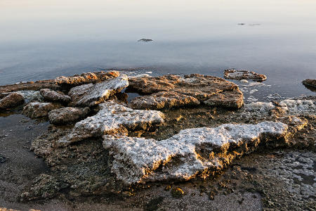 On the Briny Shore