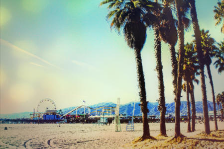 On a Winters Day, Venice Beach