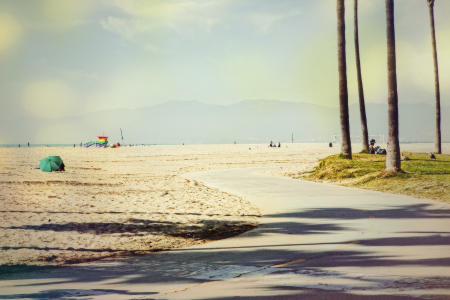 Winter Shadows, Venice Beach