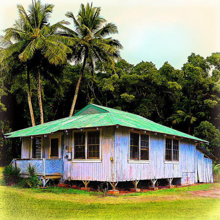 Cottage With a Green Tin Roof