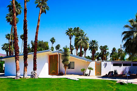 Palm Springs Mod #15