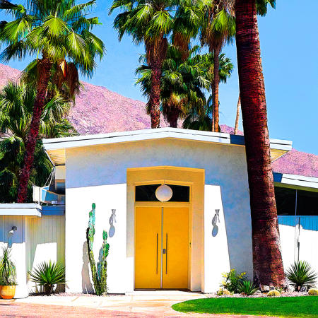 Palm Springs Mod #18