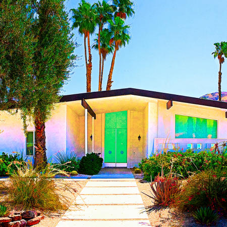 Palm Springs Mod #20