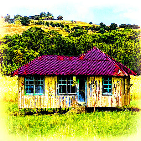 Left Behind on the Island