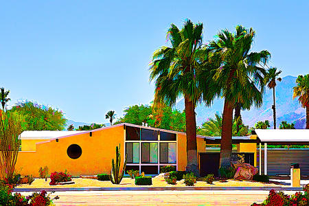 Palm Springs Mod 23