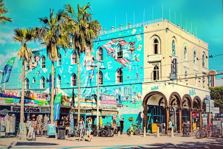 Venice Beach Day