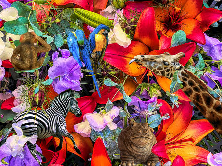 Flora and Fauna #1