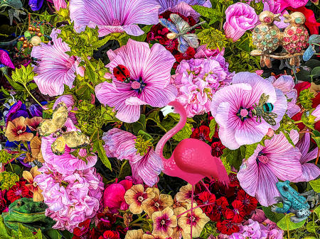 Flora and Fauna #2