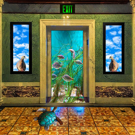 Exit
